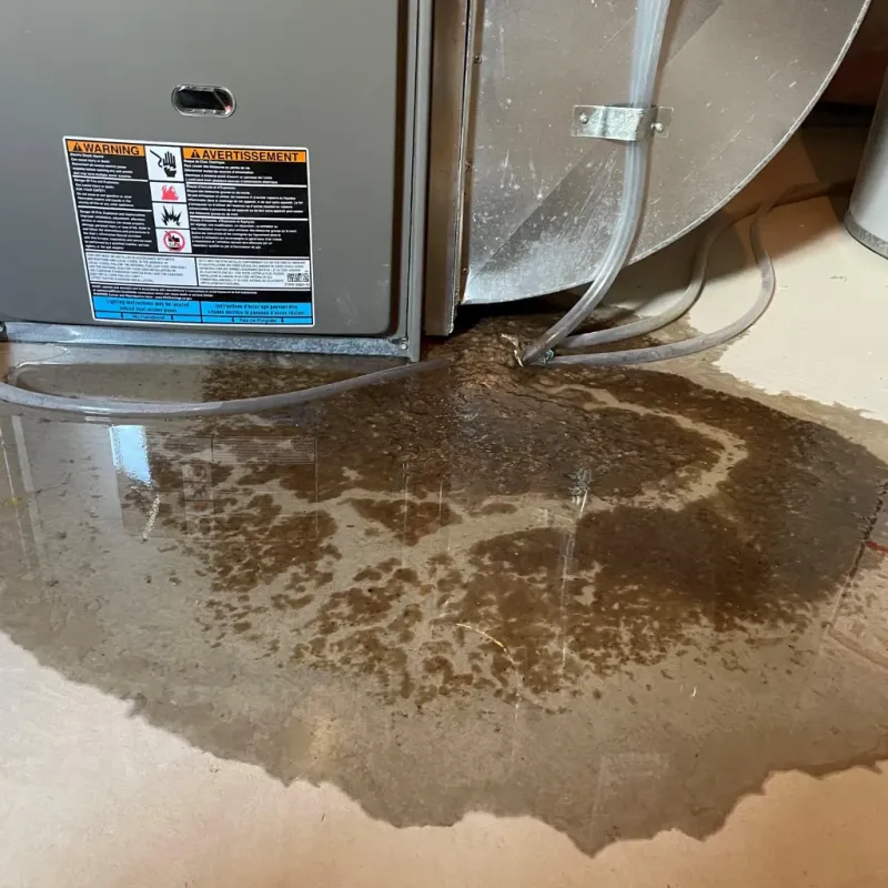 Appliance Leak Cleanup in Red Lake, MN