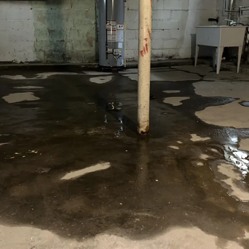 Emergency Water Extraction And Removal in Red Lake, MN